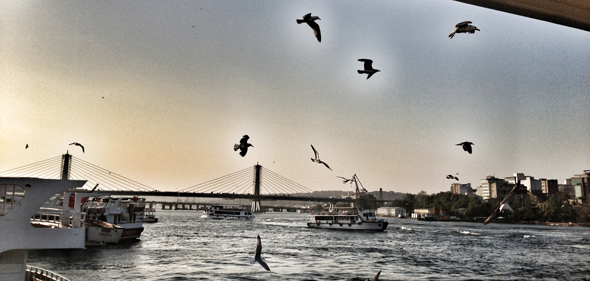   Haliç’e Nazır Fotoğraflar" yarışmasının sonuçları açıklandı