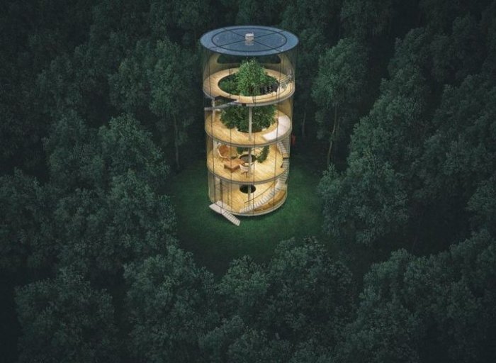 Ruhsal tedavi için ormana inşa edilmiş ağaç ev