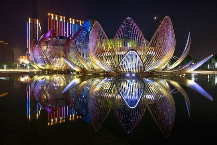 Çin'de çiçek açmış nilüfer şeklinde bina inşa edildi