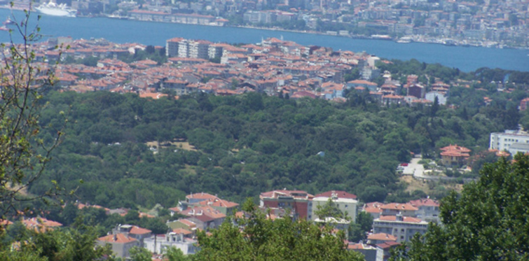 Çamlıca Cami’si için 5 proje