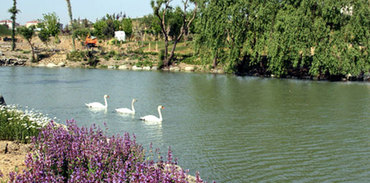 İstanbul'un en büyük botanik parkı