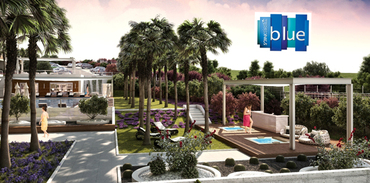 Siesta Blue fiyat
