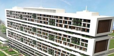 İkon Terrace nerede?