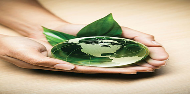 Capatect ve Filli Boya Dünya Çevre Günü'ne dikkat çekiyor