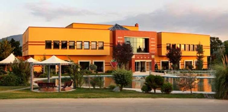 Çilek'in ilk 6 ay hedefi tuttu