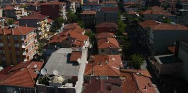 Fikirtepe'nin ağaçları ne olacak?