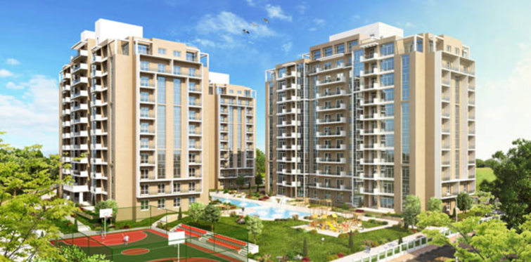 Royal Plus'tan öğretmenlere tatil hediyesi