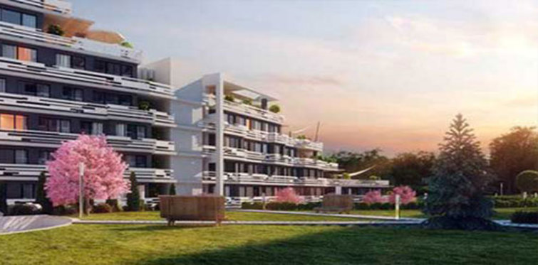 WLoft Dragos iletişim bilgileri!