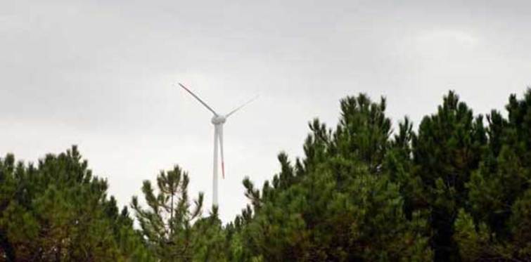 Boğaziçi kendi elektriğini üretecek