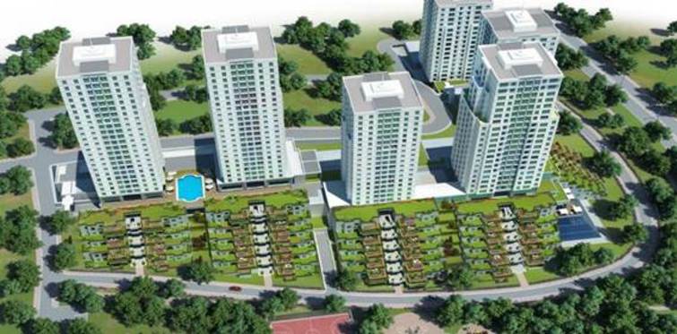 Essenora'da satışlar yüzde 50'yi geçti