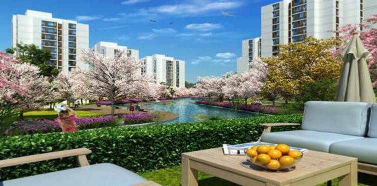 Resim İstanbul Orman’da ortam doğal ev almak kolay
