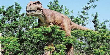 Dinozorlar Ankara bütçesini sarsar mı?