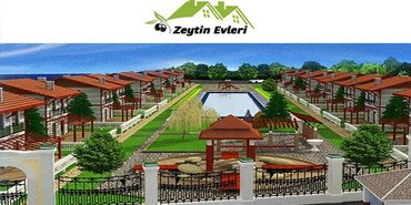 Zeytin Evleri Projesi
