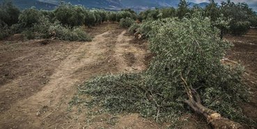 Kolin termik santral için başka bir yer buldu