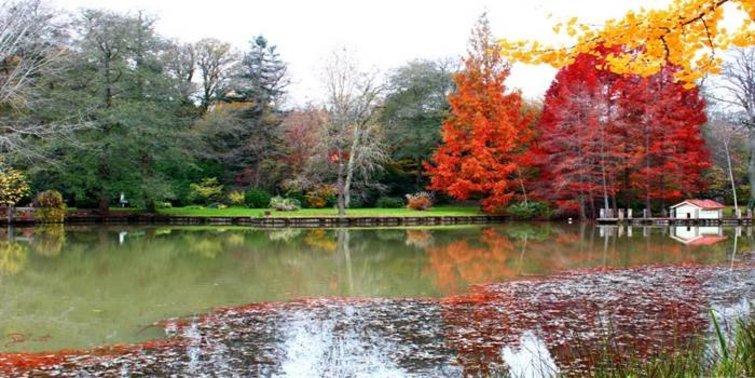 Atatürk Arboretumu nasıl gidilir