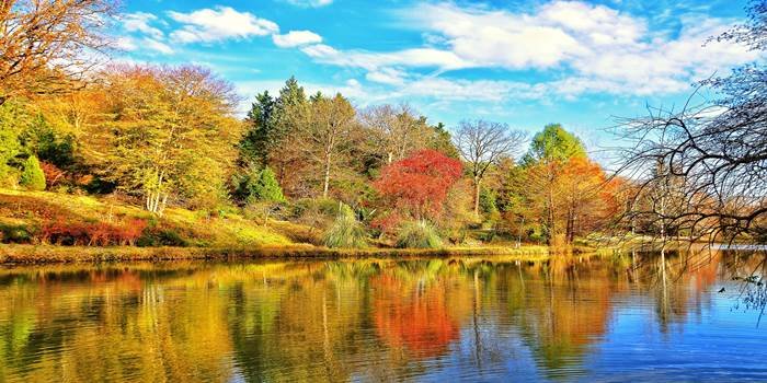 Atatürk Arboretumu nasıl gidilir