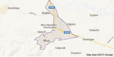 Muş kiralık daire