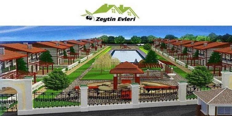 zeytin evleri geyikli