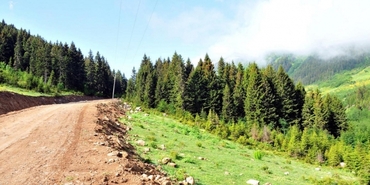 Danıştay'dan Yeşil Yol planına durdurma kararı
