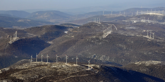 Kuzey Ormanları'nın yeni yükü: Rüzgar Elektrik Santralleri