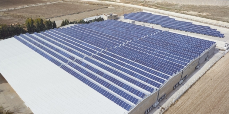 Yingli Solar'dan Kahramanmaraş'a dev yatırım