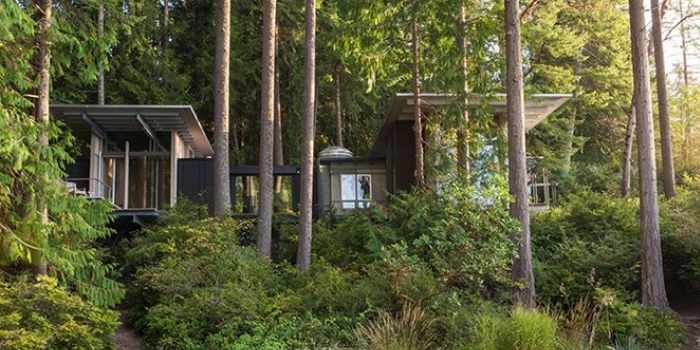Amerikalı mimarın 60 yıldır üzerinde çalıştığı orman evi