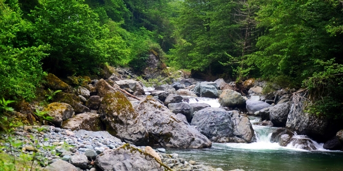 Büyüleyen güzellikleri ile Artvin