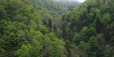 Madenin Artvin'e kaybettirdiği