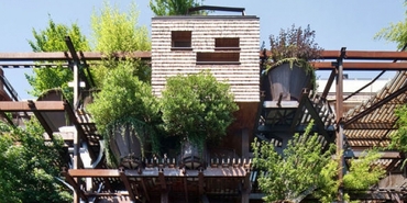 Şehrin merkezindeki ağaç apartman