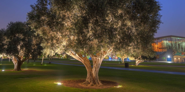 Diriliş Ertuğrul'un sponsoru Nazenin Konakları'nda yaşam başlıyor