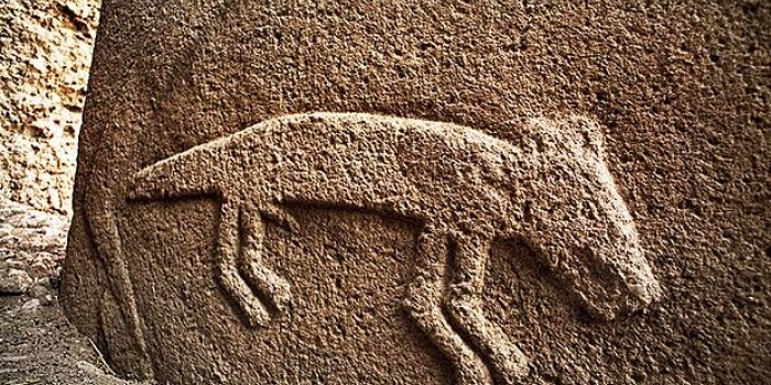 Göbeklitepe için UNESCO heyecanı başladı