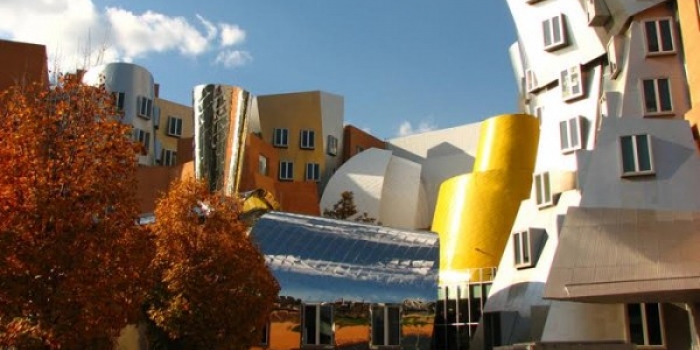 Frank Gehry'nin 'Adamlar yapmış' dedirten muhteşem tasarımları 