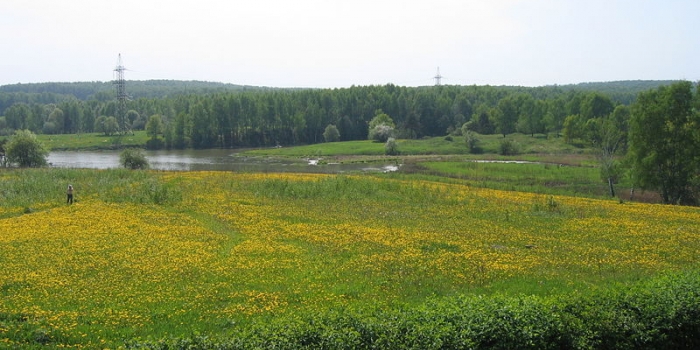 Gökdelenlere meydan okuyan şehir parkları 