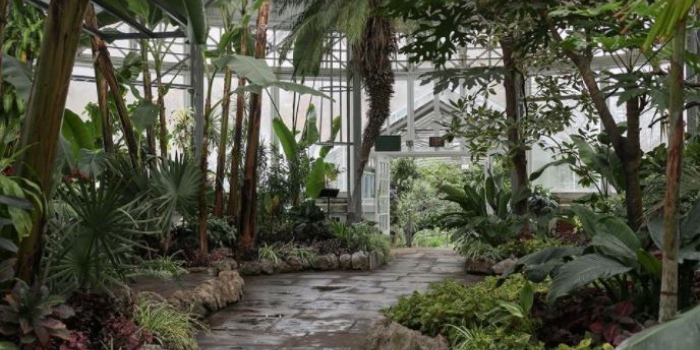 Allan Gardens Conservatory 