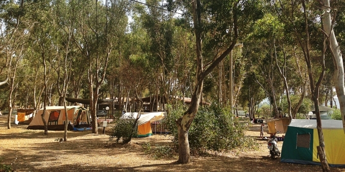 Türkiye'nin en iyi kamp alanları 