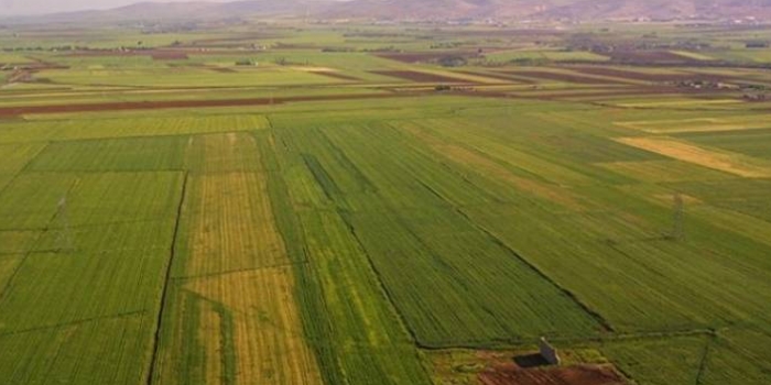 Milli Emlak taşınmazları ihaleyle satışa sunuluyor