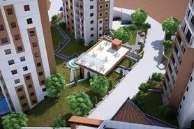 Saklı Vadi Kartal Resimleri-2