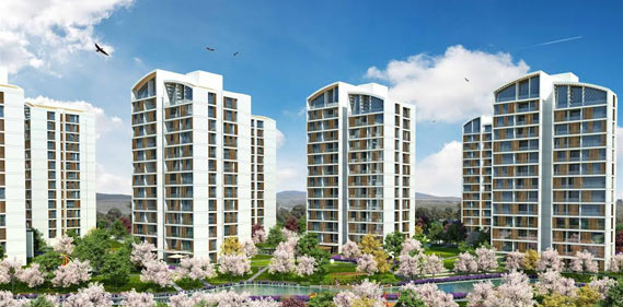 Resim İstanbul Orman