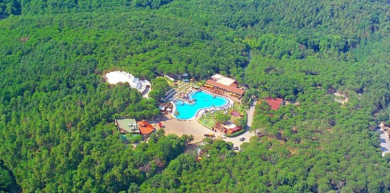 Park Orman Projesi Park Orman Projesi