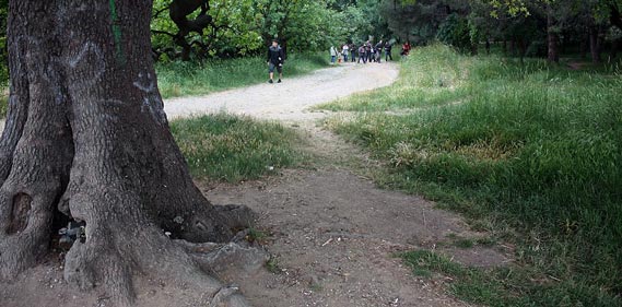 Validebağ Korusu Validebağ Korusu