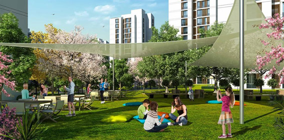 Resim İstanbul Orman