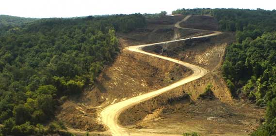 Üçüncü Köprü Ağaç Kesimi Üçüncü Köprü Ağaç Kesimi