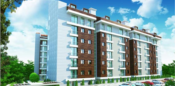 Dreamlife Projesi