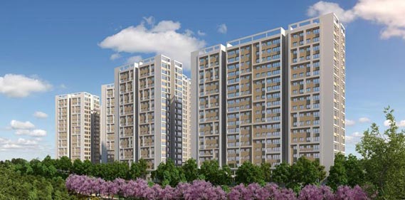 DKY İnşaat Lokum Evler