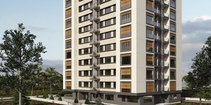 216 projesindeki asırlık ağaçlar ne olacak?