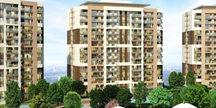5. Levent projesi