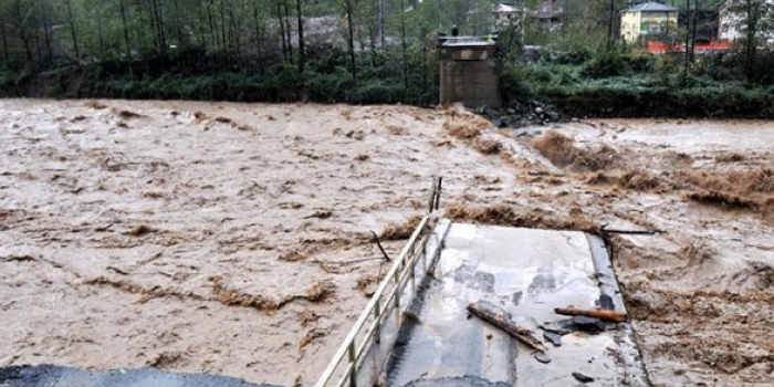 Artvin'den Boğaziçi'ne "termik santralin" öldüren yüzü