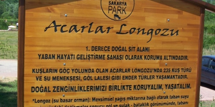 Acarlar Longozu nerede, nasıl gidilir? 