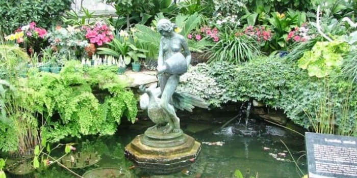 Allan Gardens Conservatory