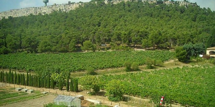 Atatürk Evi'ndeki tarihi SİT statüsü kaldırıldı